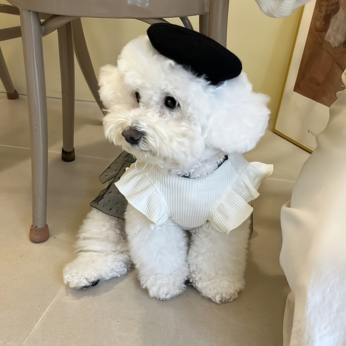 New Spring and Summer Fashion Large Bow Couple Outfits for Pets Cats and Dogs